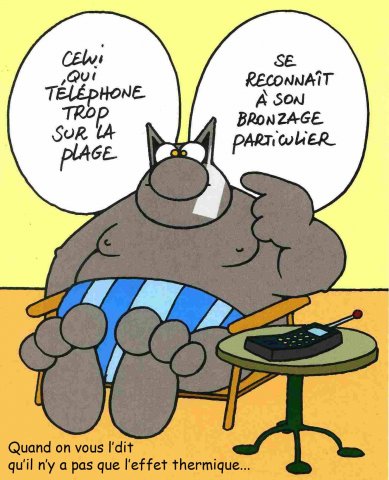 Le chat non thermique